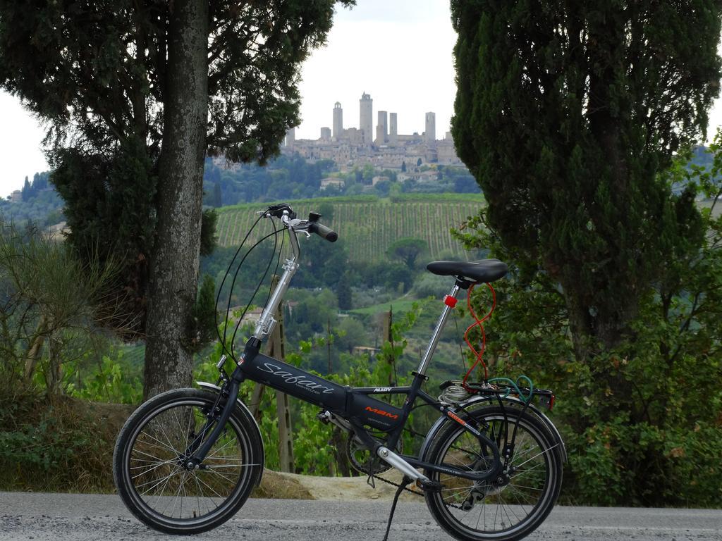 Agriturismo Montegonfoli San Gimignano Buitenkant foto