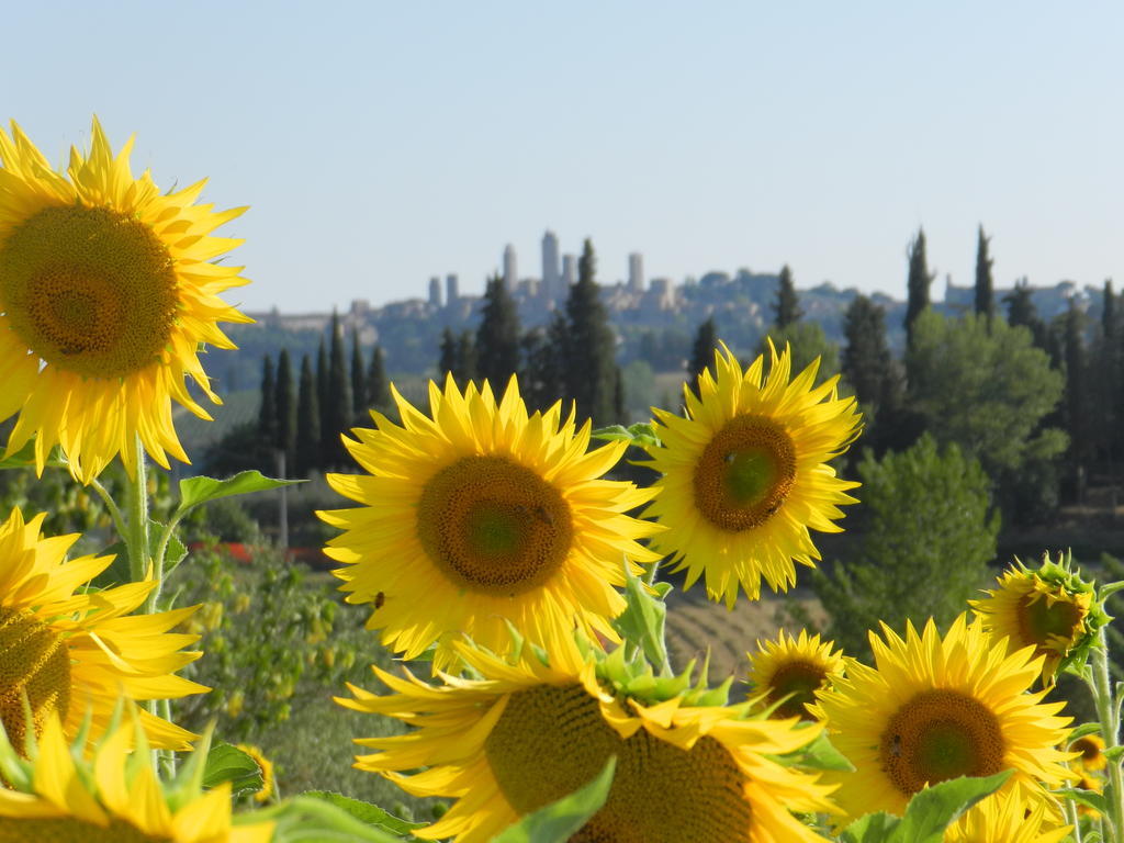 Agriturismo Montegonfoli San Gimignano Buitenkant foto